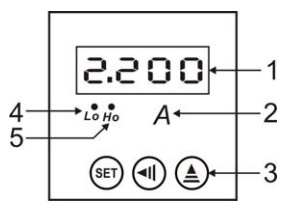 GBZN195I-4B1直流數顯儀表